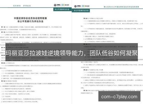 玛丽亚莎拉波娃逆境领导能力，团队低谷如何凝聚